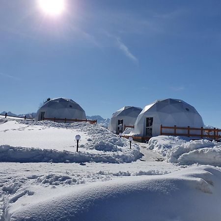 Groń Glamping Pasieka Namiot Glamp Bukowina Tatrzanska - Domki W Gorach מראה חיצוני תמונה
