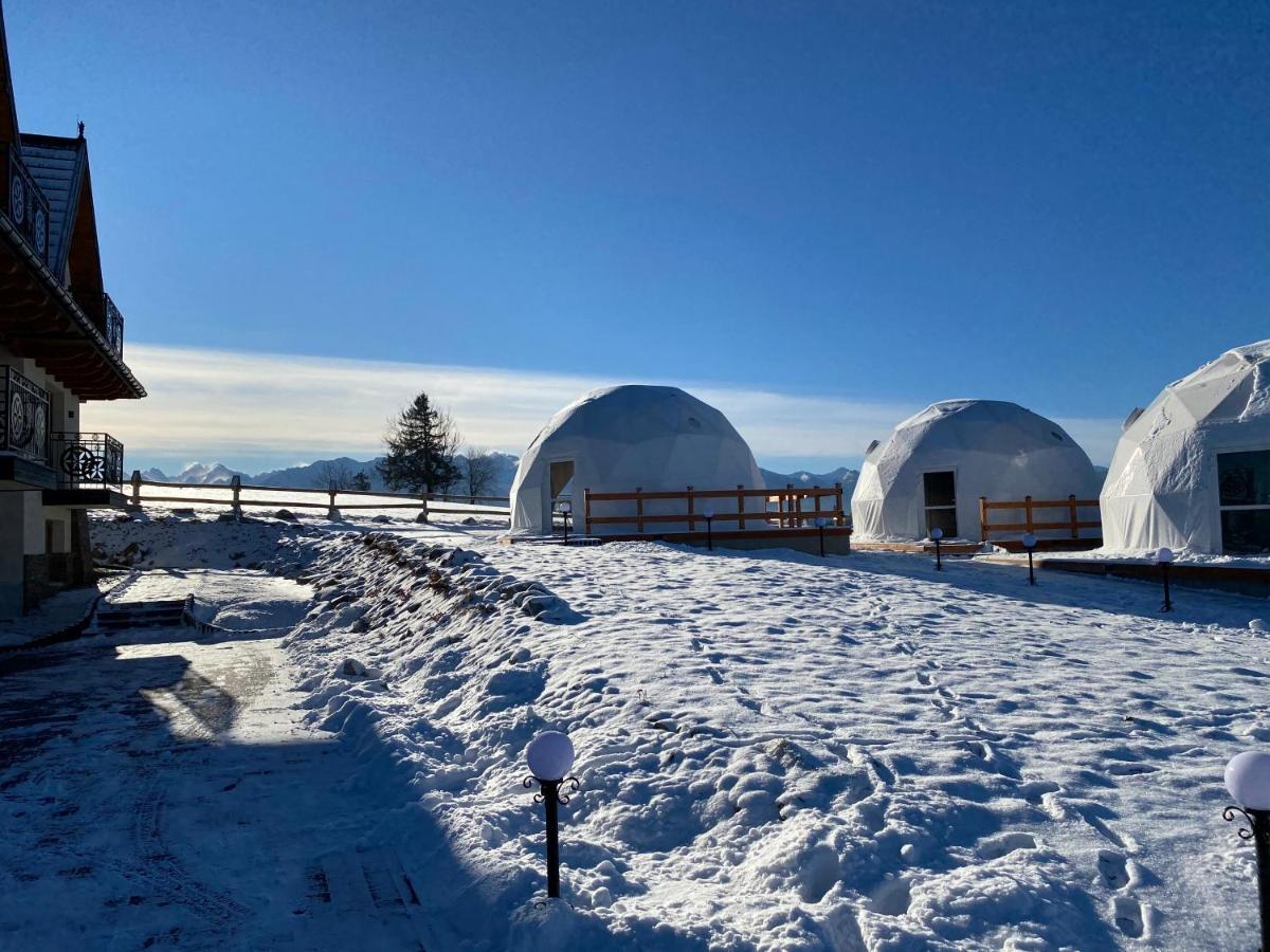 Groń Glamping Pasieka Namiot Glamp Bukowina Tatrzanska - Domki W Gorach מראה חיצוני תמונה