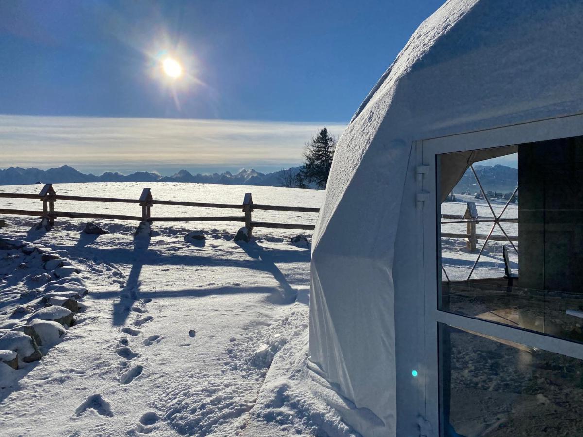 Groń Glamping Pasieka Namiot Glamp Bukowina Tatrzanska - Domki W Gorach מראה חיצוני תמונה