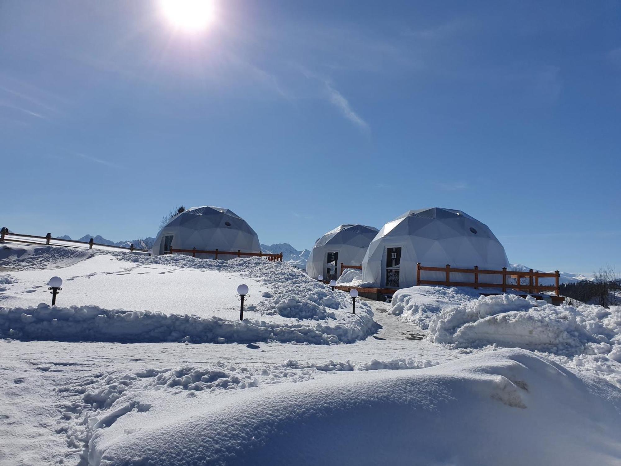 Groń Glamping Pasieka Namiot Glamp Bukowina Tatrzanska - Domki W Gorach מראה חיצוני תמונה